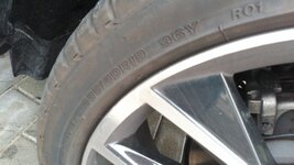 IMG_20180103_091221.jpg