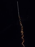 IMG_20180124_122804.jpg