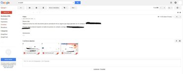 MAIL ENVIADO FORO.jpg