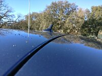 IMG_20180127_105602.jpg