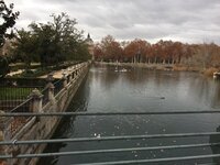 IMG_2439.JPG