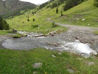 F72382CC-8224-40E9-ADBE-4EAE9637EE9A.jpeg
