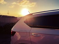 20180207_081845.jpg