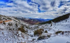 20180304_120003-01.jpeg