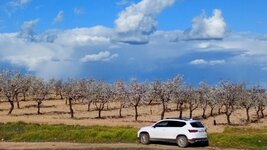 DSC_0099.jpg