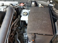 20180318_124029.jpg
