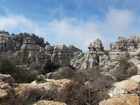 IMG-20180415-WA0065.jpg