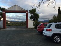 IMG_0715.JPG