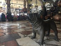 IMG_0866.JPG