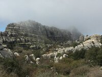IMG_0949.JPG