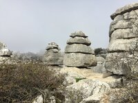 IMG_0959.JPG