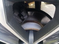 IMG_20180424_174105.jpg
