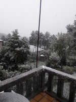 20180429_084546.jpg