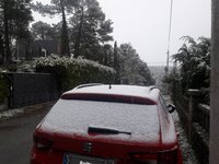 20180429_100240.jpg