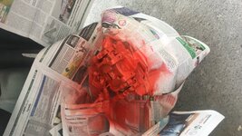 B5B85F22-2C6C-4636-A3B4-BAD10830FC50.jpeg