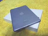 ipadmini02.jpg