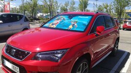 Ateca pirata.JPG