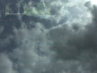 IMG_2056.JPG