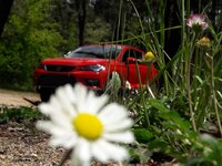 20180520_141242.jpg
