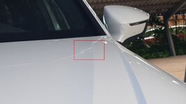 20180604_075937.jpg