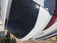 IMG_9697.JPG