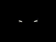 E9B14276-54AA-46AB-98C6-616BF4B93502.jpeg