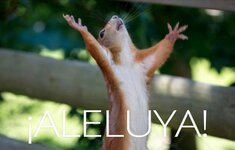 aleluya.jpg aleluya.jpg