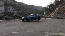 IMG_3137.jpg