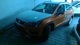 IMAG0499.jpg
