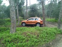 IMG_20161031_072413.jpg