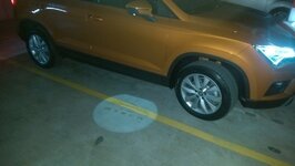 IMAG0509.jpg