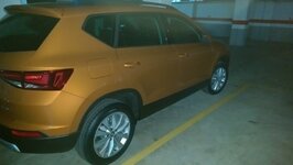 IMAG0510.jpg