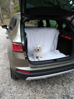 IMG_20161106_175029.jpg
