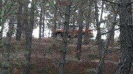 20161113_200530.jpg