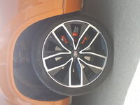 20180625_152631.jpg