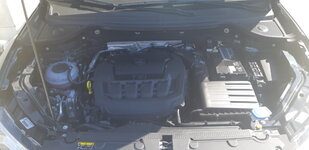 20180620_103623.jpg