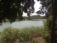 IMG_20180628_142622.jpg