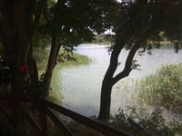 IMG_20180628_142616.jpg