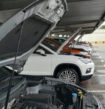 IMG_20180429_151442.jpg