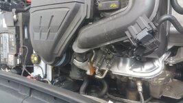 20180702_110054.jpg