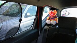 IMG_20180724_173236~2.jpg