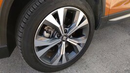 IMG_20180725_091911.jpg