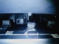 IMG_20180808_005501.jpg