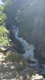 IMG_20180814_134033.jpg