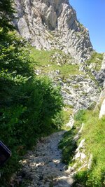 IMG_20180814_142911_HDR.jpg