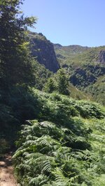 IMG_20180815_134057.jpg