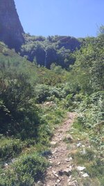 IMG_20180815_135551.jpg