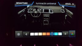 Seat Ateca Colotes Ambiente1.jpeg