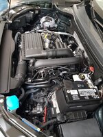 20180829_160327.jpg