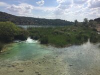 IMG_8984.JPG